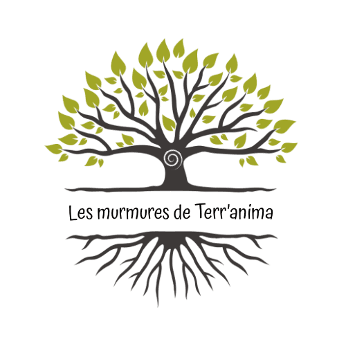 plantes, sons et traditions sacrées